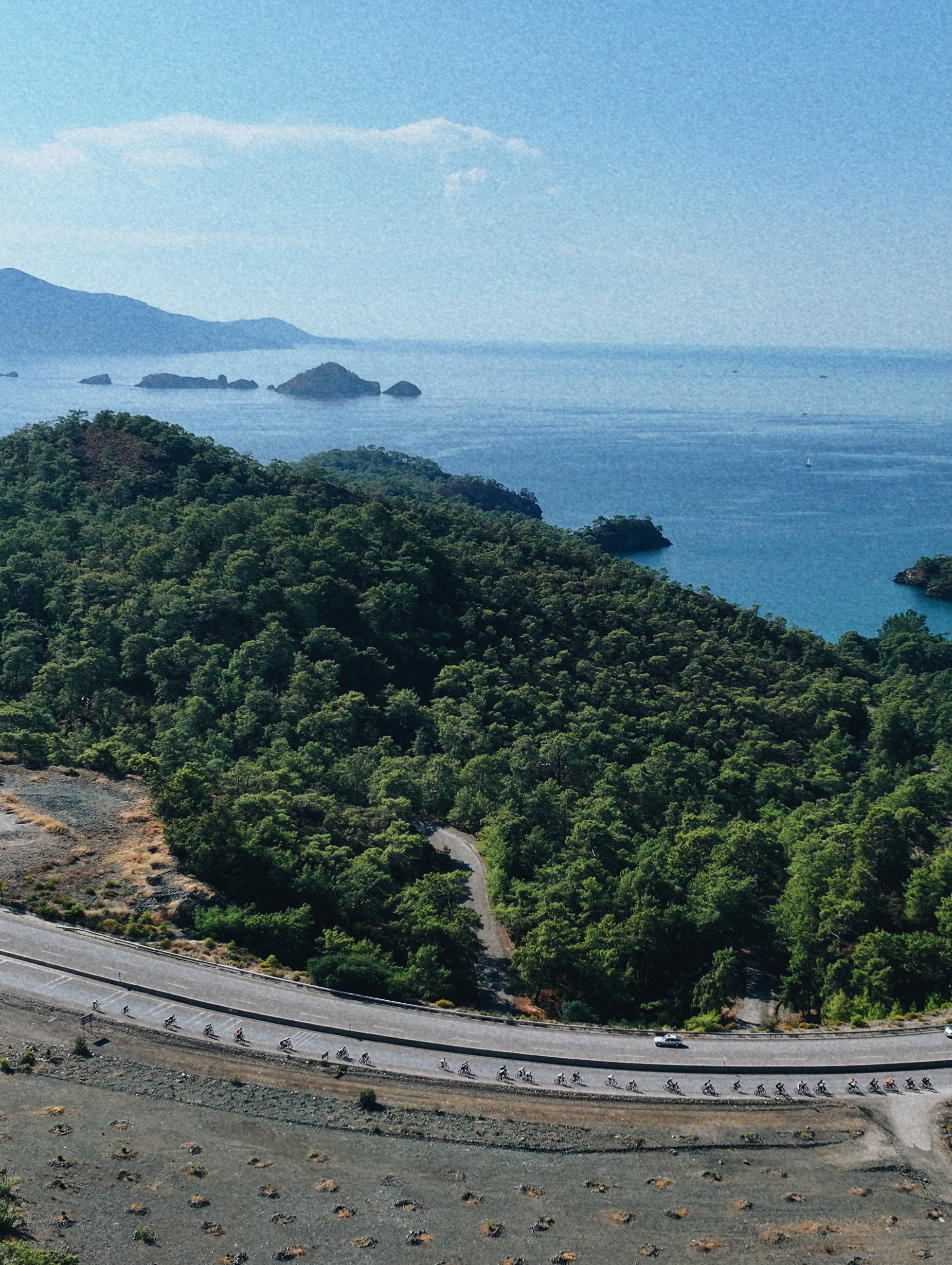 NOT IN PARIS — coastal road through pine forest
